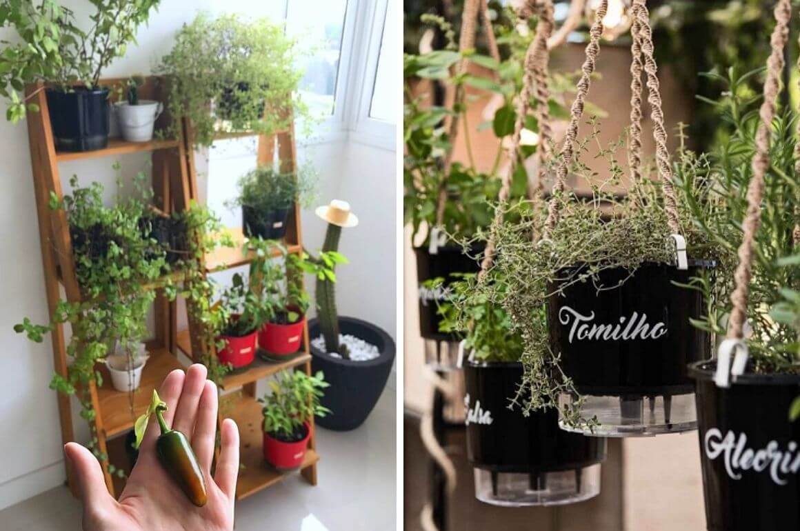 Poda e Adubação: Nutrição e Beleza Constantes - inspiração 3