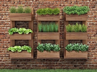 Recipientes Charmosos e Funcionais: Vasos que Fazem a Diferença - inspiração 1