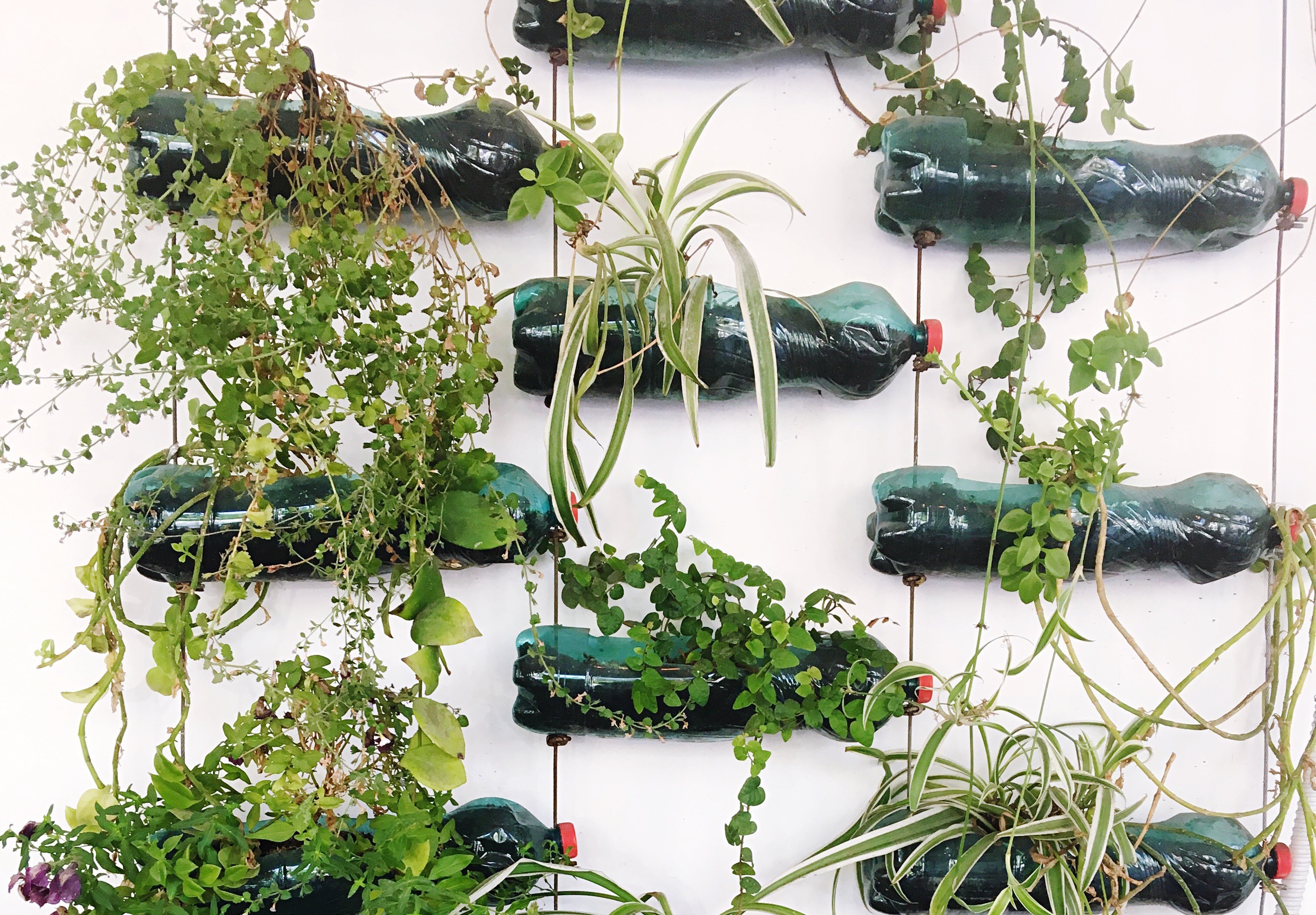 Recipientes Charmosos e Funcionais: Vasos que Fazem a Diferença - inspiração 3