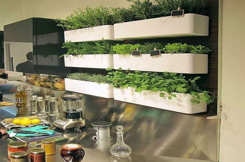 Drenagem Perfeita: Segredo para Raízes Saudáveis - inspiração 2