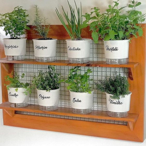 Substrato Enriquecido: O Alimento das suas Plantas - inspiração 2