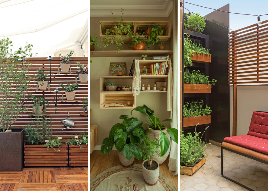 Substrato Enriquecido: O Alimento das suas Plantas - inspiração 3