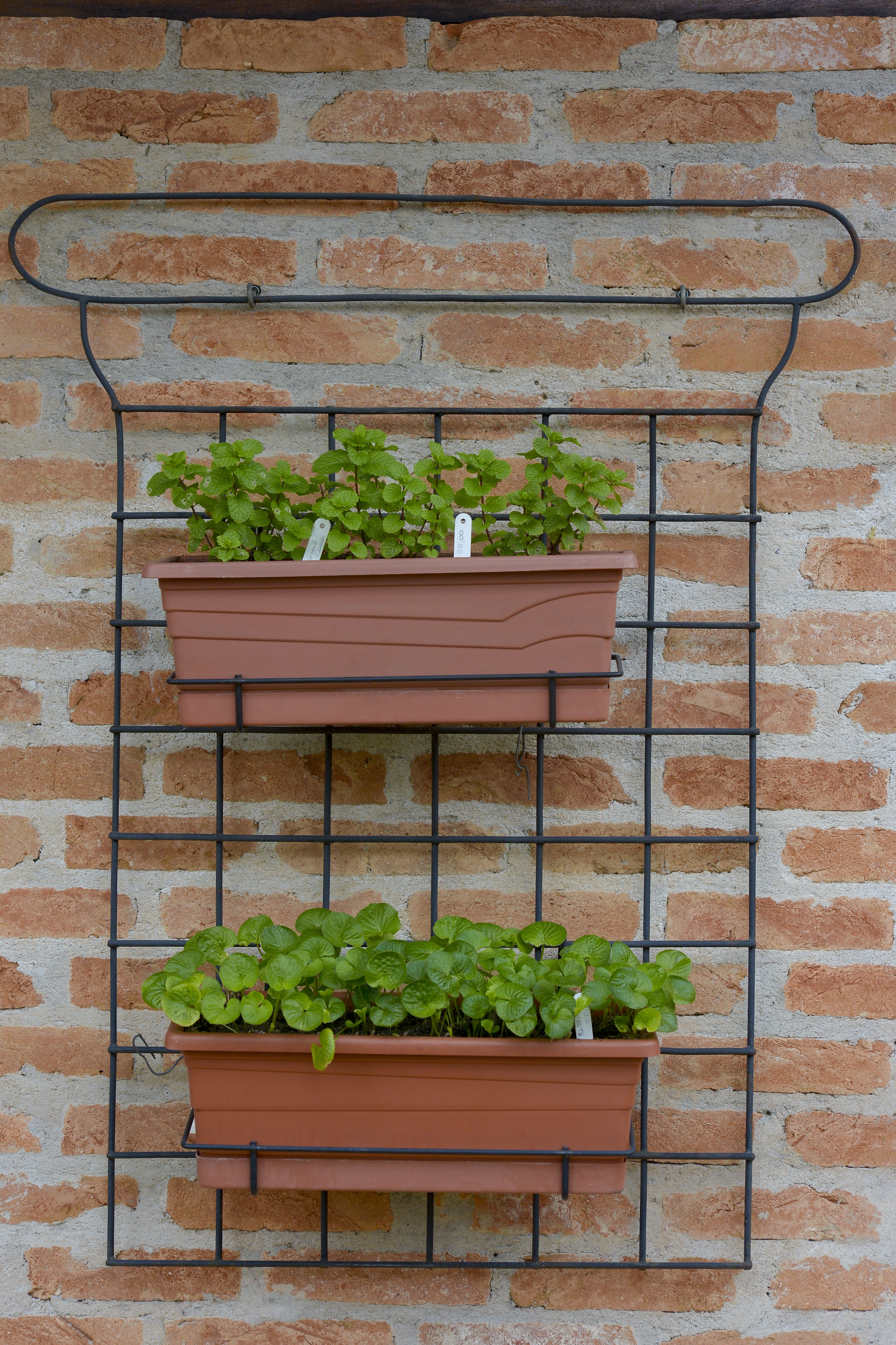 Distribuição Estratégica: Sol e Sombra na Dose Certa - inspiração 2