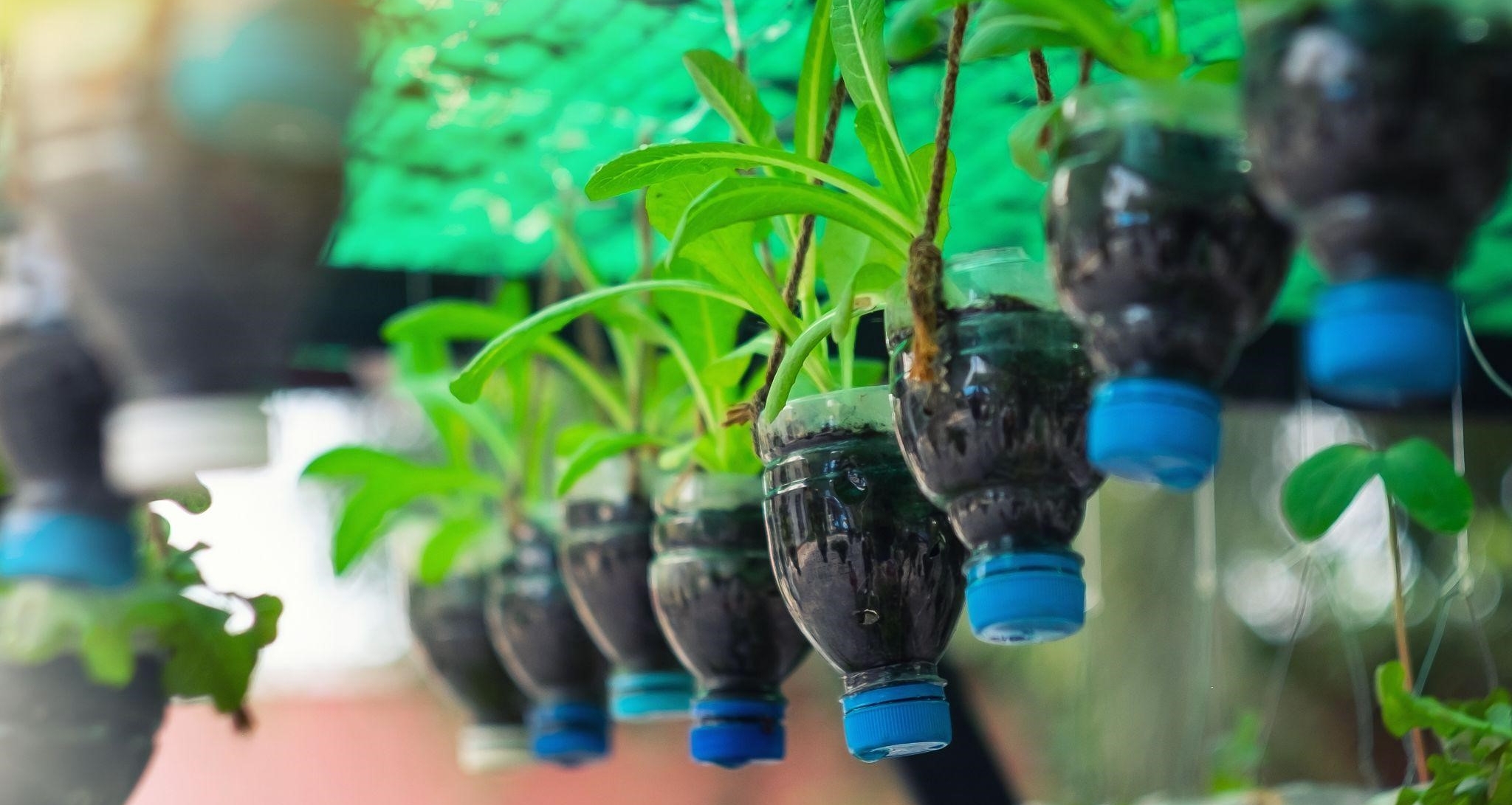 Rega Inteligente: Hidratação Sem Exageros - inspiração 2