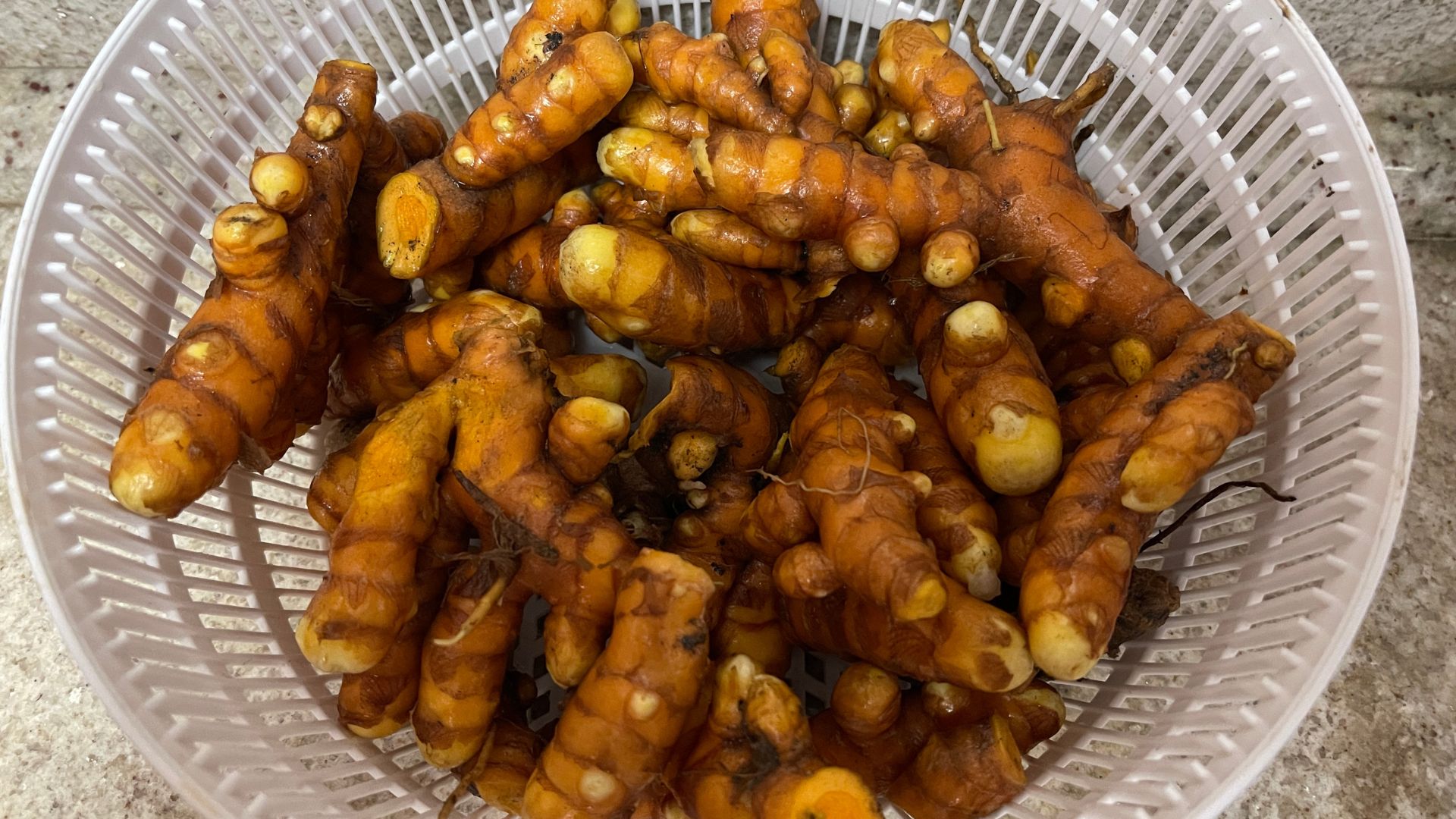 Prepare um Solo Rico e Drenado Para Suas Raízes - inspiração 2