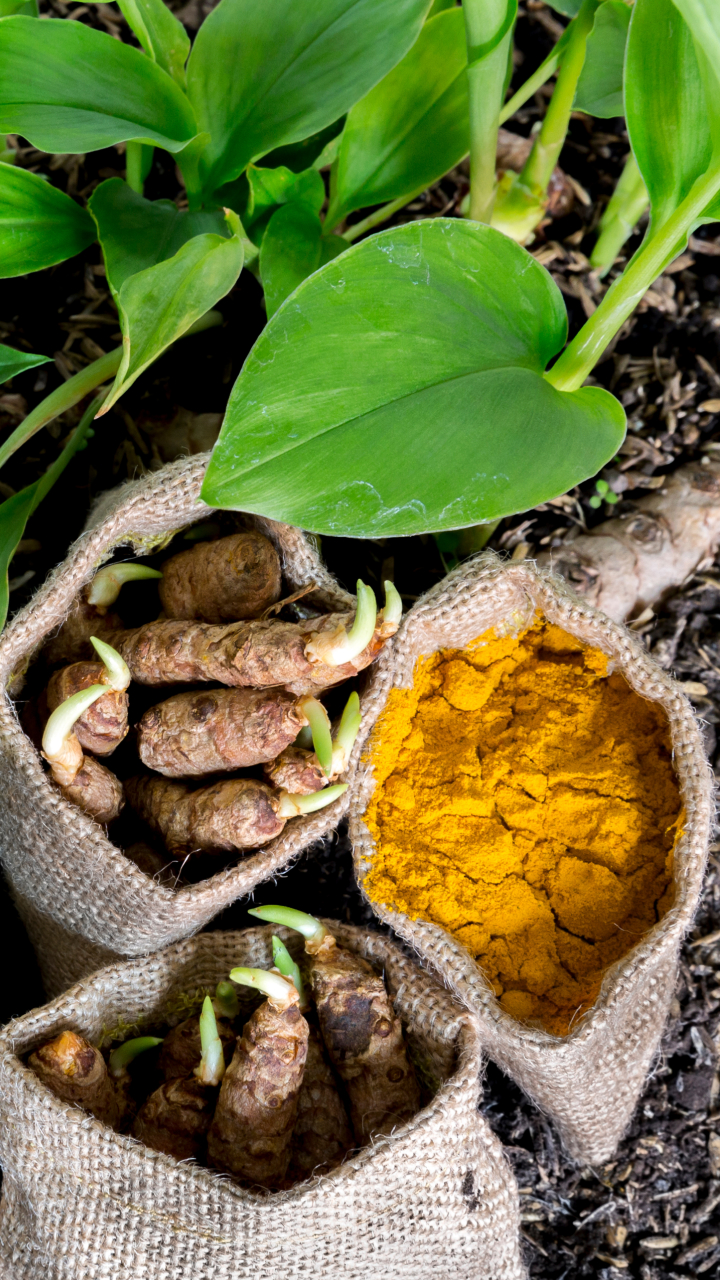 Plante com Carinho, Respeitando a Profundidade - inspiração 3