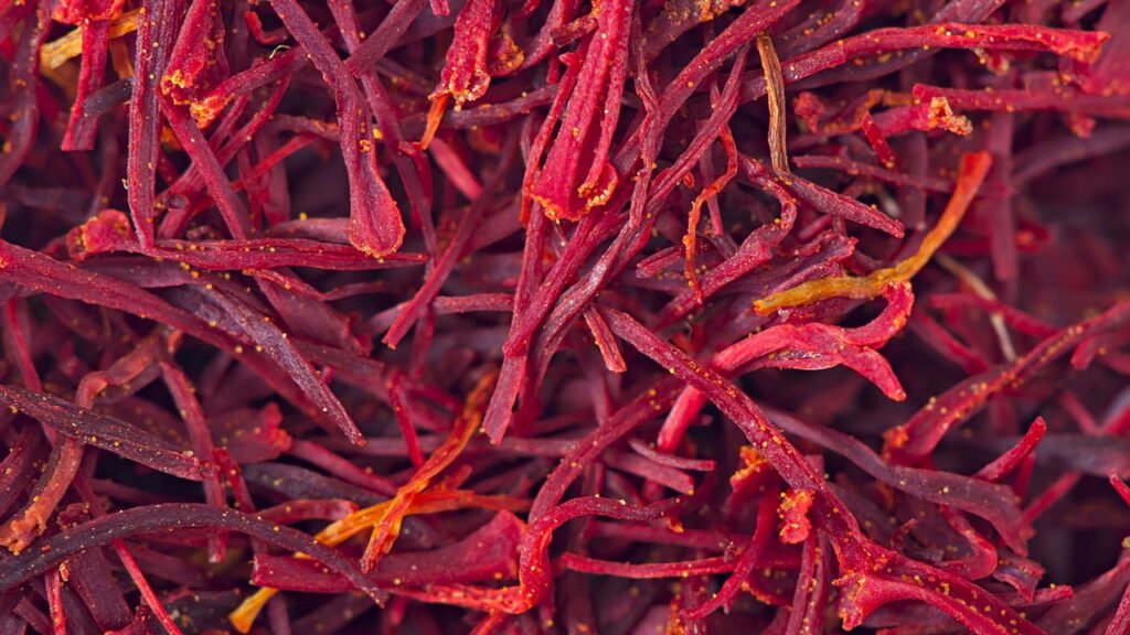 Regue com Atenção, Mantendo a Umidade Ideal - inspiração 1