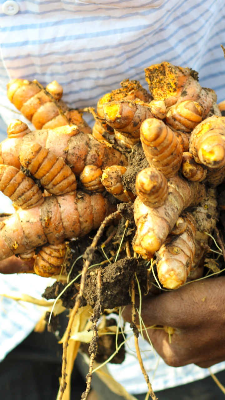 Tenha Paciência: A Colheita no Tempo Certo - inspiração 2