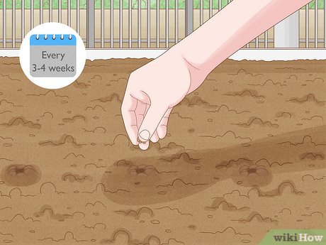 Proteção Solar: Como Evitar Que o Sol Queime Seu Endro - inspiração 1