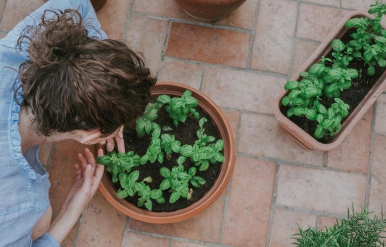 Proteção Solar: Como Evitar Que o Sol Queime Seu Endro - inspiração 3