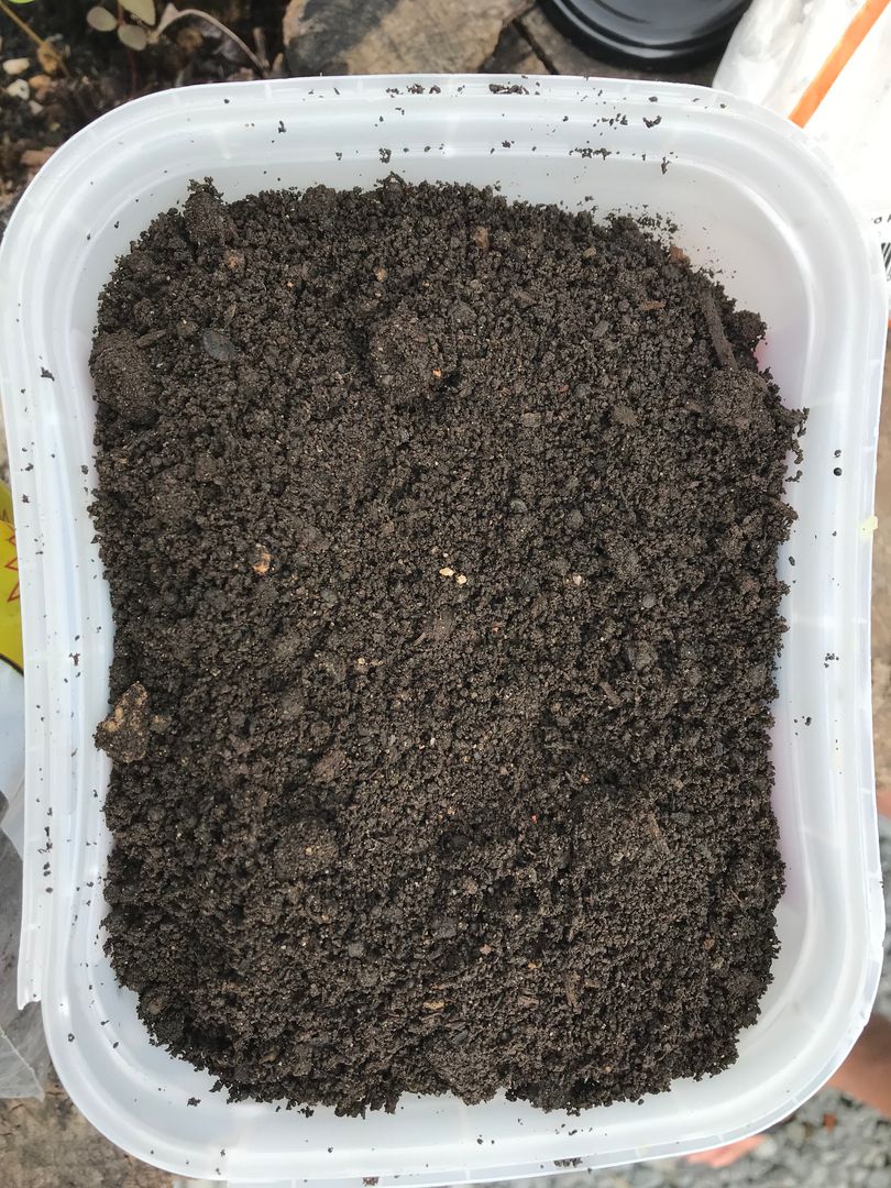 Colheita Inteligente das Folhas: Aproveite ao Máximo - inspiração 2