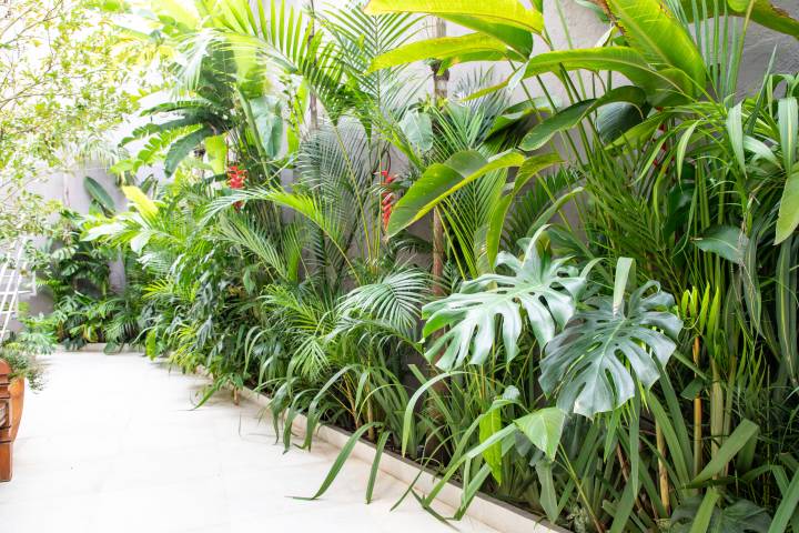 Colhendo Sementes: O Passo a Passo Para Não Errar - inspiração 2