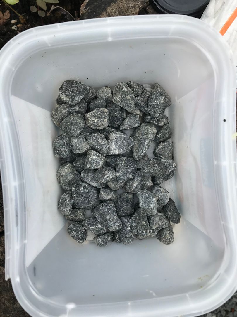 Colhendo Sementes: O Passo a Passo Para Não Errar - inspiração 3