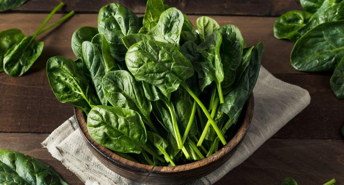 Prepare o solo dos sonhos para o espinafre - inspiração 1