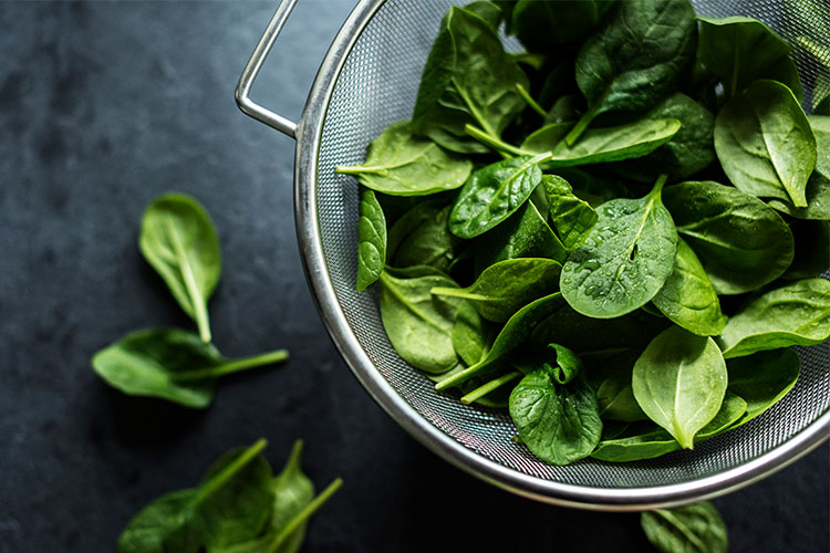 Aumente a germinação das sementes com um truque simples - inspiração 3