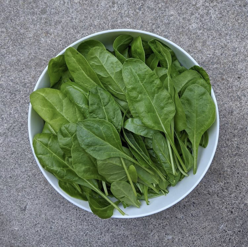 Saiba quando e como colher para um sabor incrível - inspiração 2