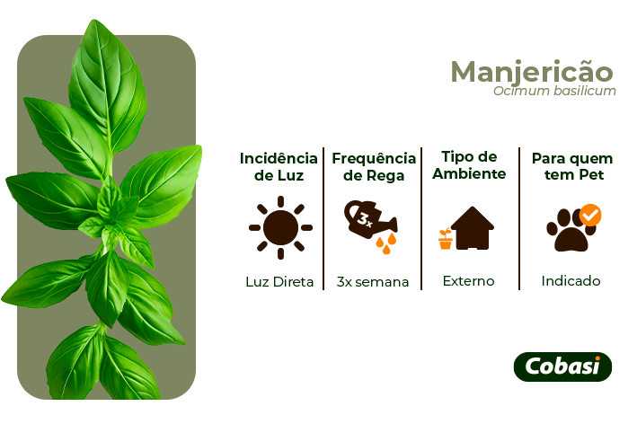 Escolha entre Sementes e Mudas: O Caminho Mais Rápido para o Seu Jardim - inspiração 1