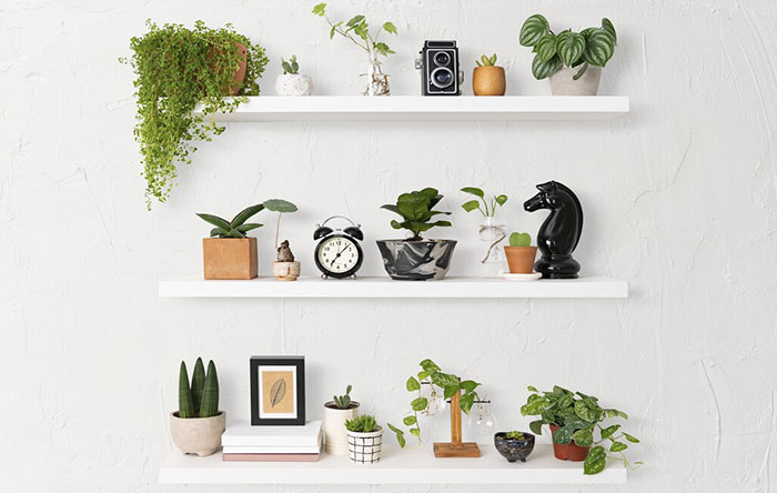 Cantinho do Café: Prateleiras para Expor suas Xícaras Favoritas - inspiração 3