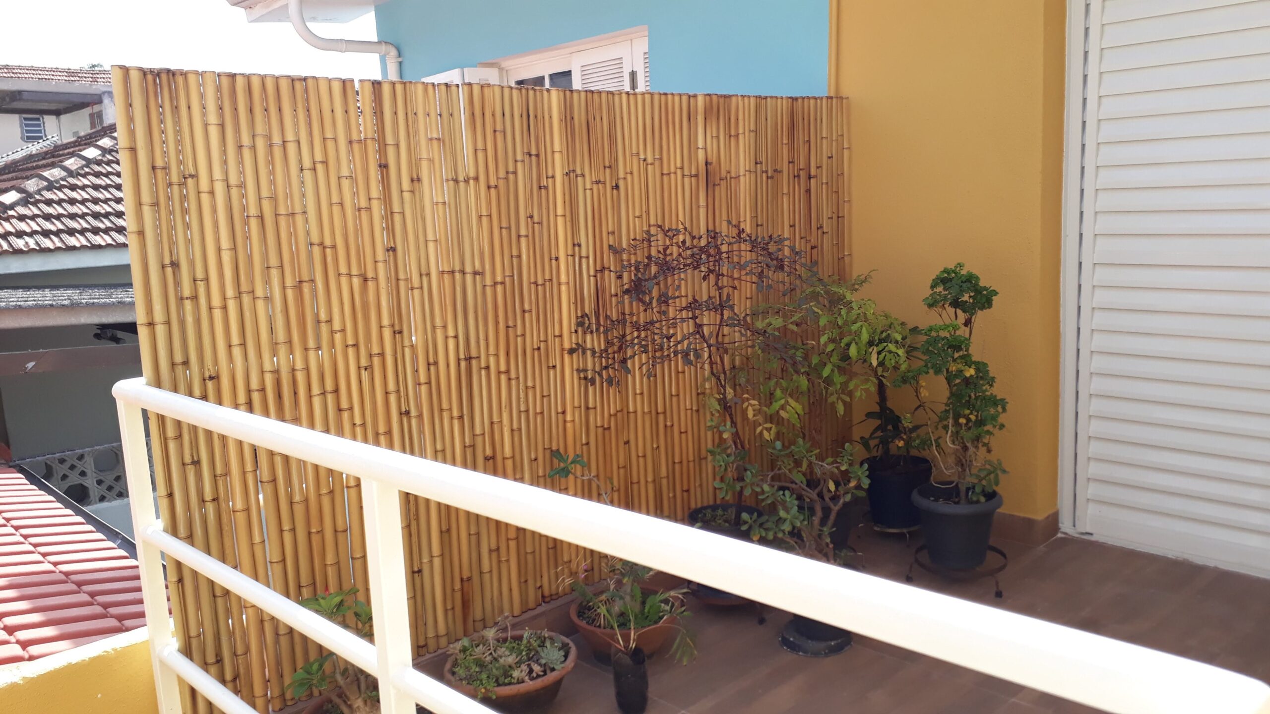 Painel de Bambu Vertical: Uma Selva Particular em Casa - inspiração 3