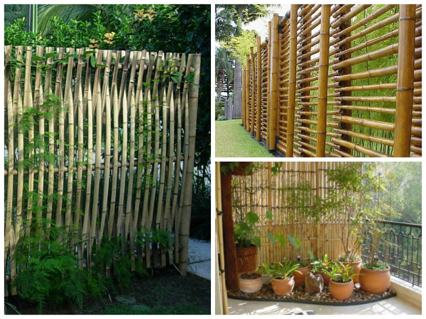 Cachepots e Vasos de Bambu: Detalhes que Fazem a Diferença - inspiração 1