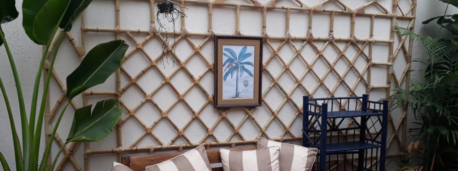 Cachepots e Vasos de Bambu: Detalhes que Fazem a Diferença - inspiração 2