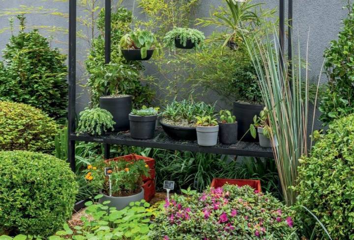 Jardim Vertical Criativo: Verde Que Abraça - inspiração 3