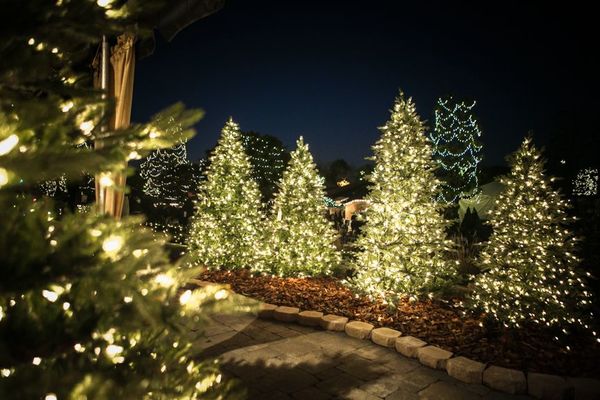 Aqueça o Ambiente com Lanternas Charmosas - inspiração 3