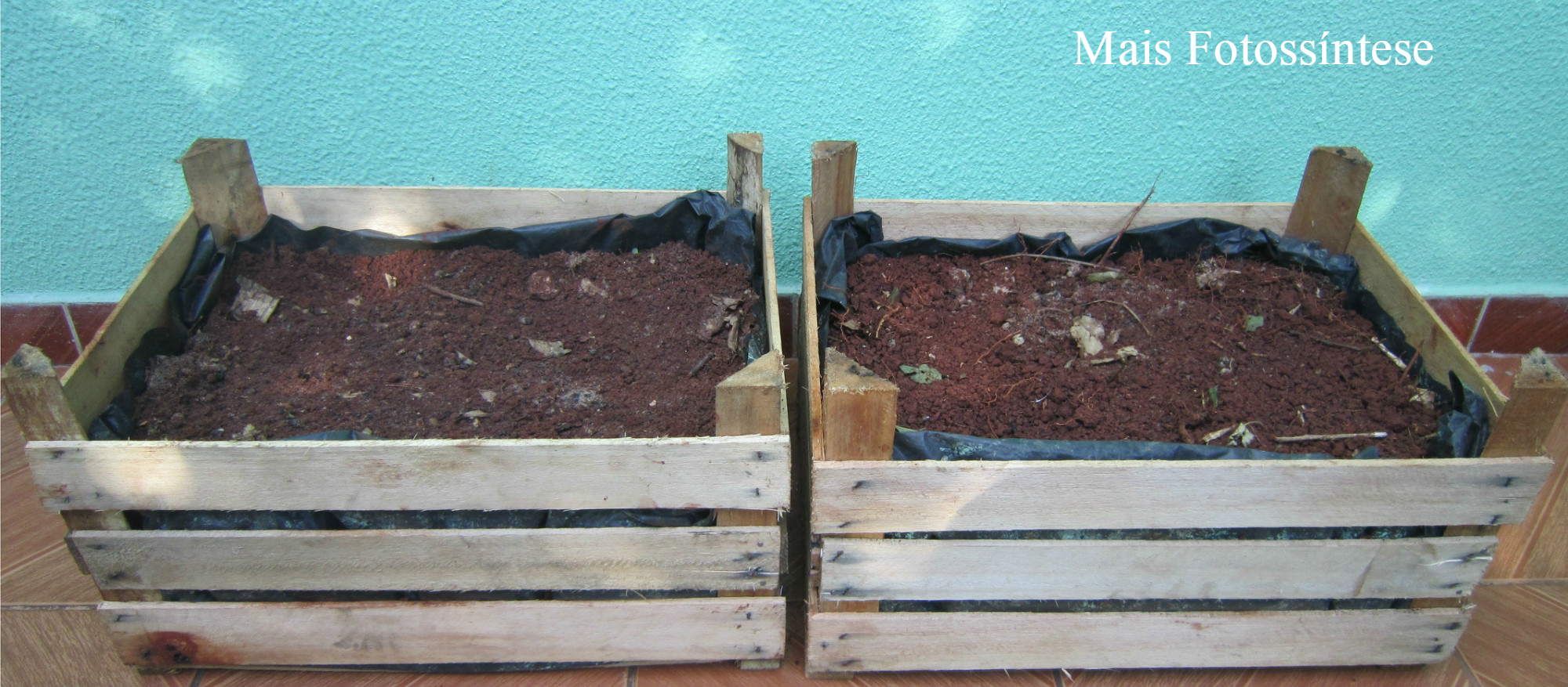 Horta Vertical com Caixotes Empilhados: Um Jardim na Parede - inspiração 3