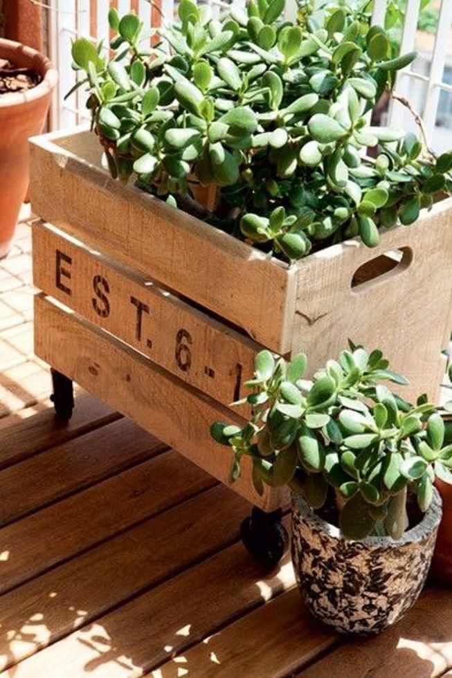 Caixotes Envelhecidos: Toque Vintage na Sua Horta - inspiração 1