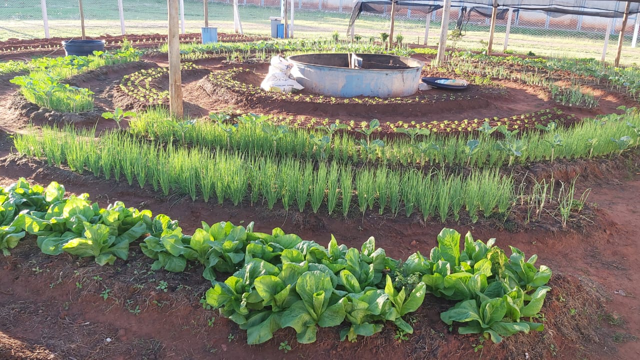 Combine Diferentes Texturas de Folhagens para um Visual Dinâmico - inspiração 2