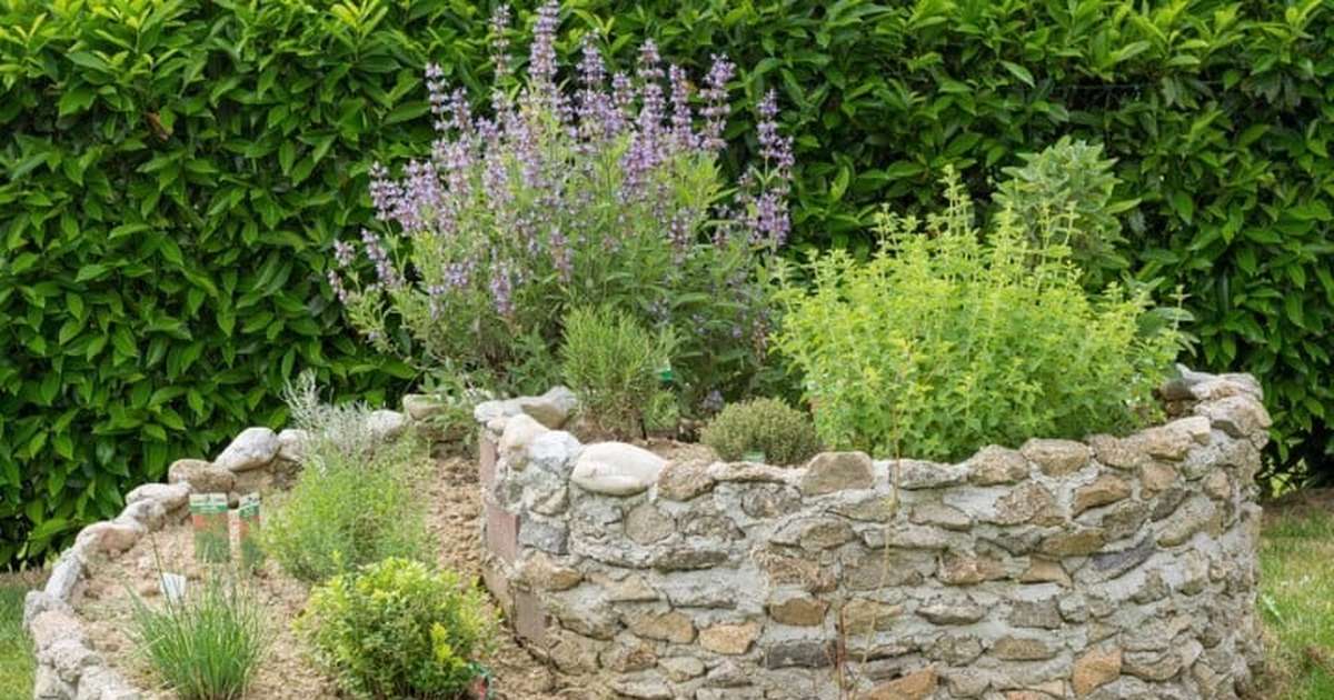 Integre a Horta com um Pequeno Espelho d'Água - inspiração 2