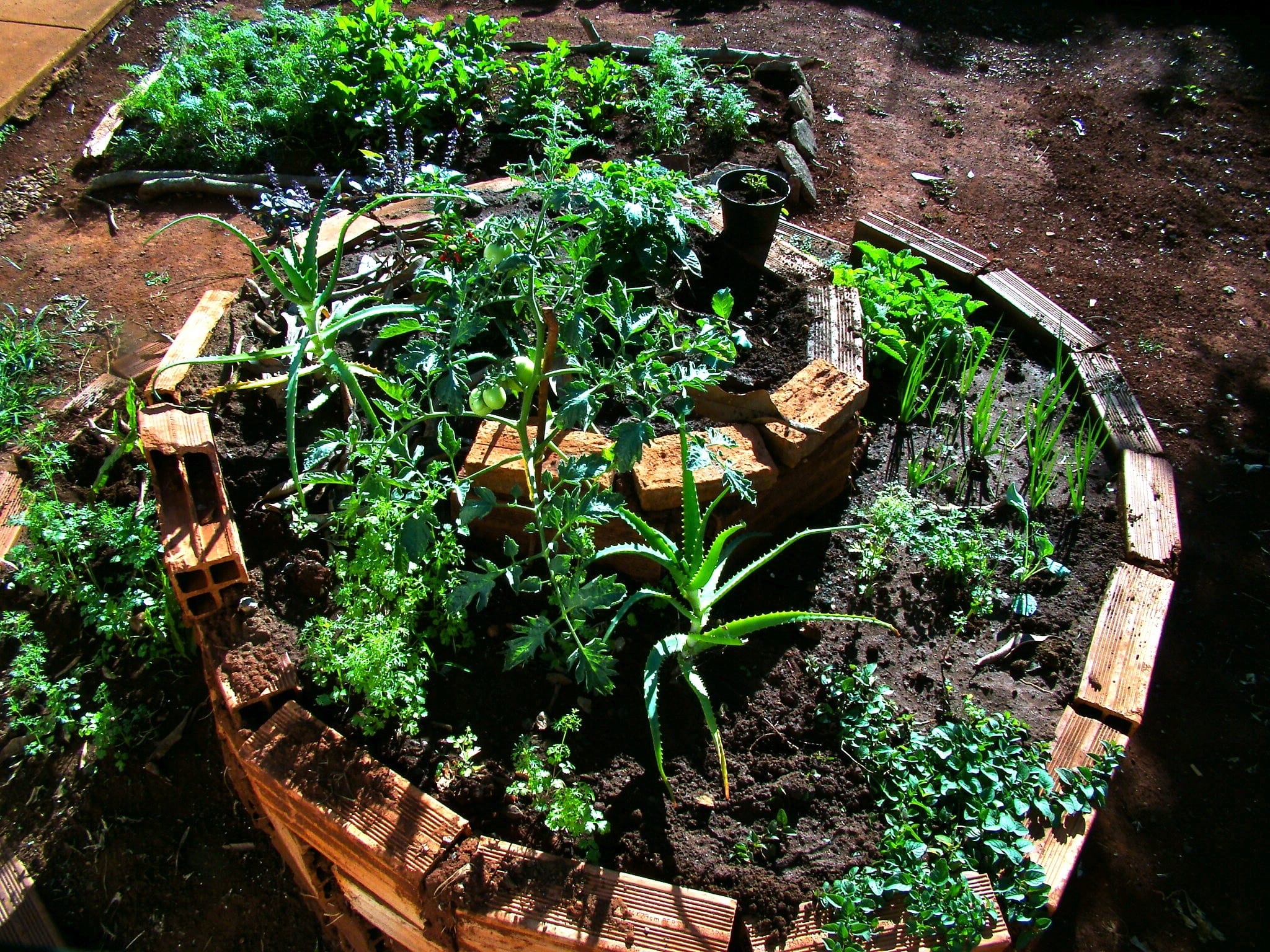 Aposte em Vasos Coloridos para Quebrar a Monotonia - inspiração 1