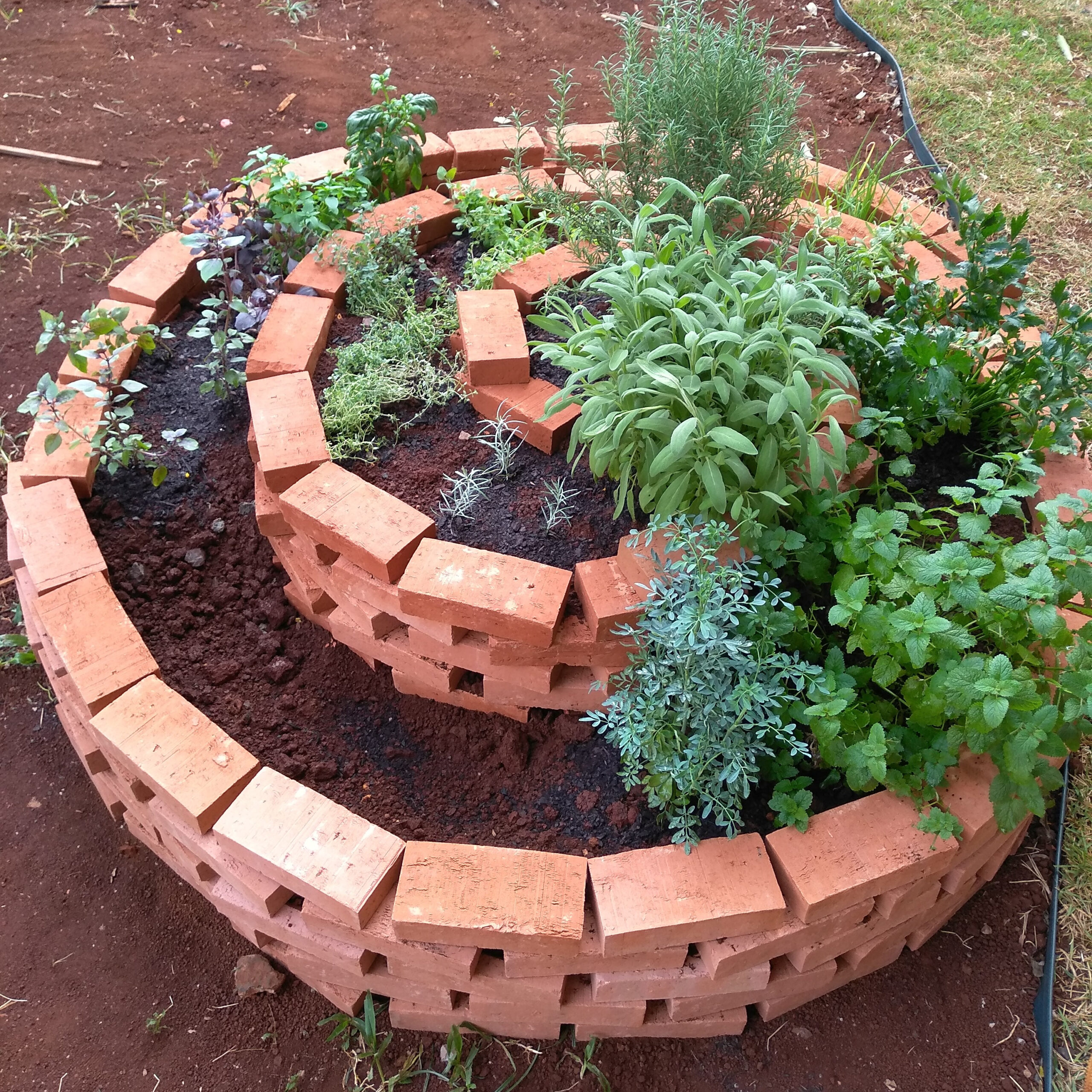 Aposte em Vasos Coloridos para Quebrar a Monotonia - inspiração 3