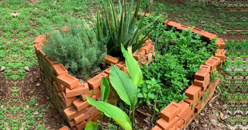 Crie um Espiral de Ervas Aromáticas para Chás Relaxantes - inspiração 2