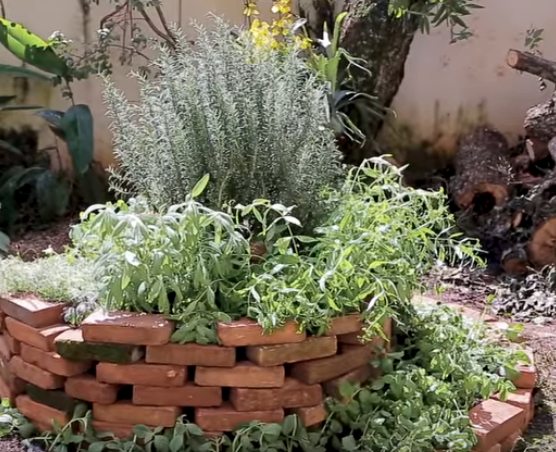 Iluminação Noturna para Destacar a Beleza da Horta - inspiração 3