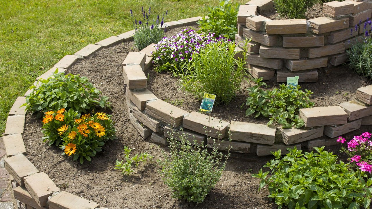 Construa uma Mini Estufa no Topo para Mudas Delicadas - inspiração 1