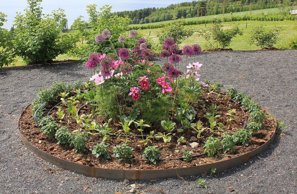 Construa uma Mini Estufa no Topo para Mudas Delicadas - inspiração 2