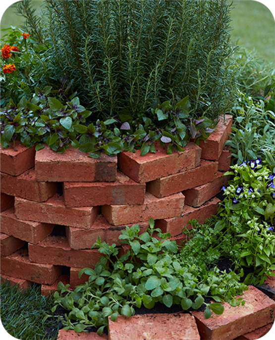 Incorpore Trepadeiras para um Efeito Cascata Verdejante - inspiração 3