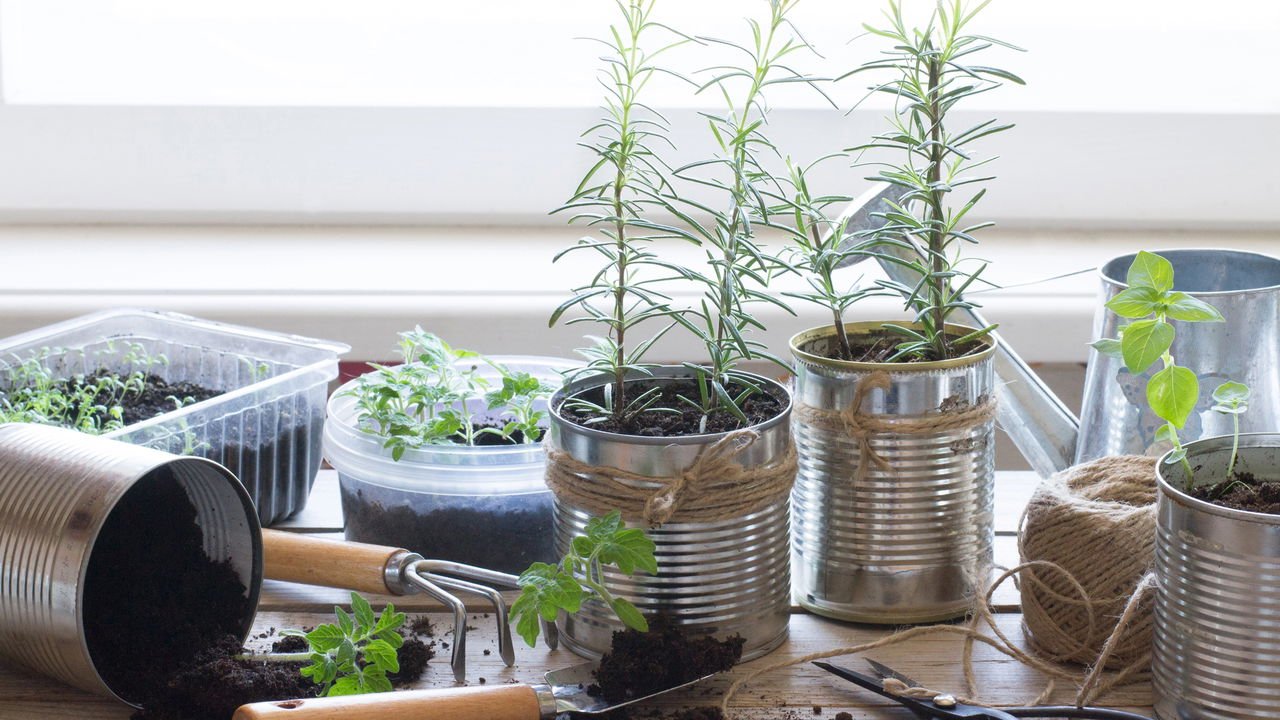 Decoupage com Temática Botânica: Um Toque Artístico - inspiração 2