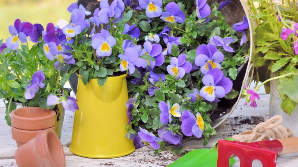 Efeito Envelhecido com Betume: Rusticidade Autêntica - inspiração 2