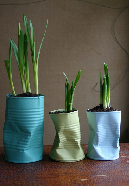 Latas Suspensas com Corda de Sisal: Charme Rústico Aéreo - inspiração 1