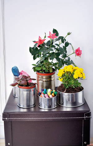 Jardineiras Verticais com Pallets e Latas: Otimização de Espaço - inspiração 2