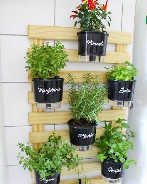 Jardineiras Verticais com Pallets e Latas: Otimização de Espaço - inspiração 3