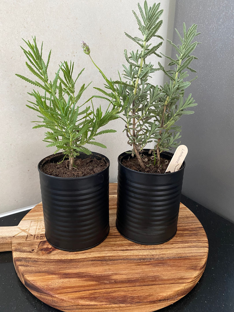 Combinação de Latas e Renda: Delicadeza Vintage - inspiração 2