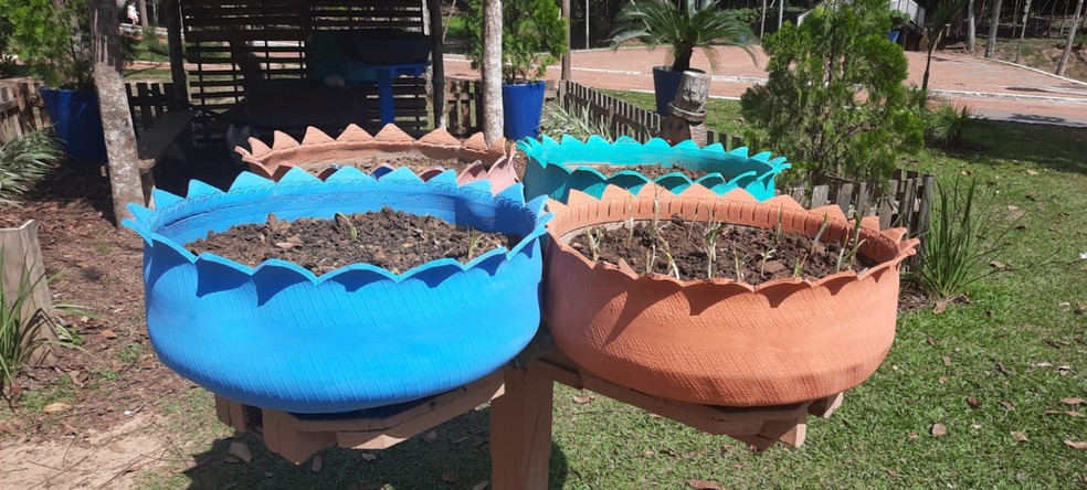 Mini-Horta Elevada: Conforto e Estilo para Seu Jardim - inspiração 2