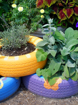 Espiral de Ervas: Um Jardim Aromático e Funcional - inspiração 1