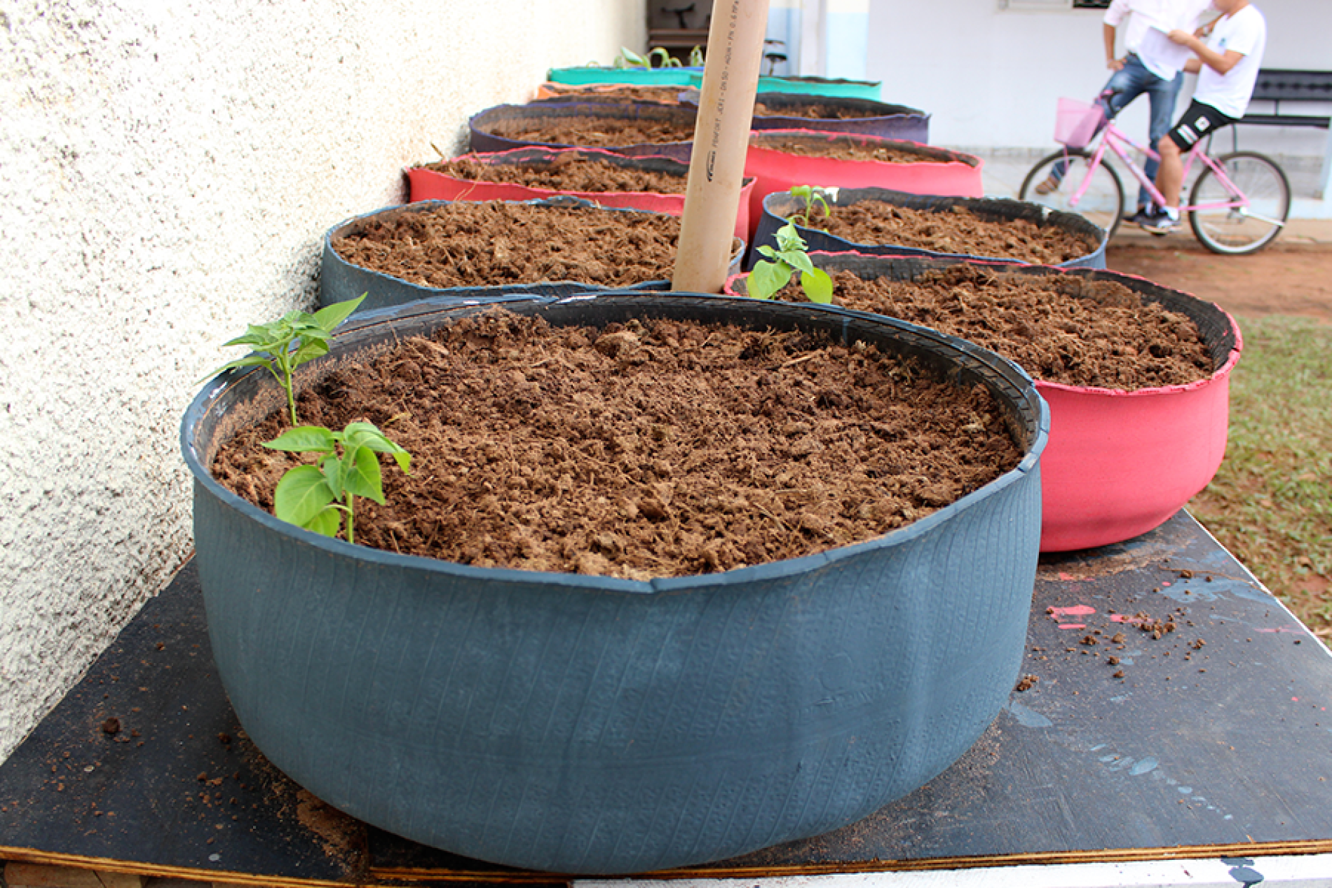 Espiral de Ervas: Um Jardim Aromático e Funcional - inspiração 3