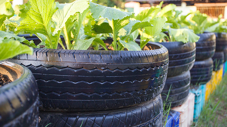 Jardim Temático: Dedique Cada Pneu a uma Família de Plantas - inspiração 3