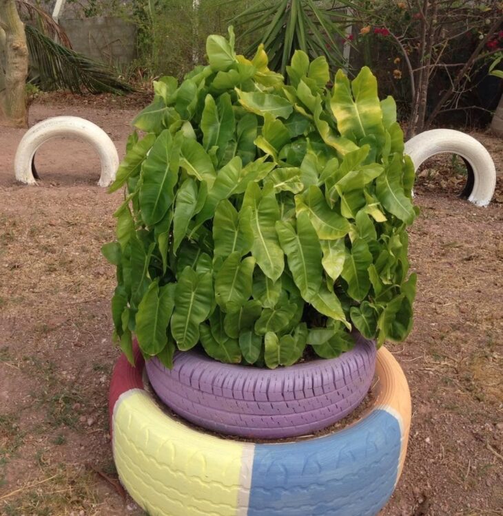 Bordas Decoradas: Use Mosaicos, Conchas ou Pedras - inspiração 3