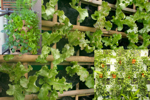 Escada Metalizada com Suculentas: Modernidade e Praticidade - inspiração 1